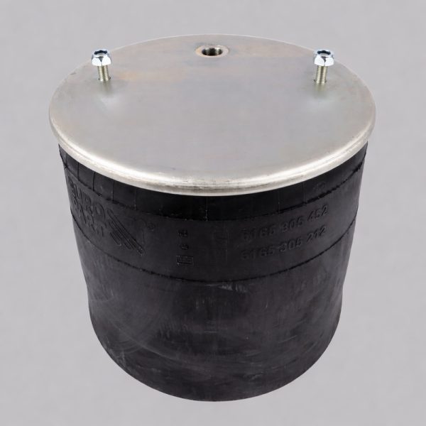 Diapres BPW 36K 0542943410 suspensión neumática camión