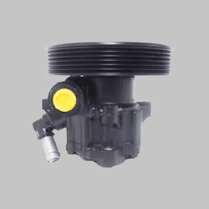 bomba-servodireccion-nissan-cabstar Pompe de direction assistée pour Nissan Cabstar ref: 491109X400