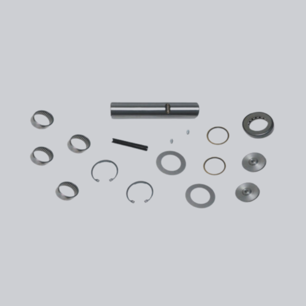 Nissan Atleon Repair Kit kingpin (for a wheel) with reference 400229X60A.